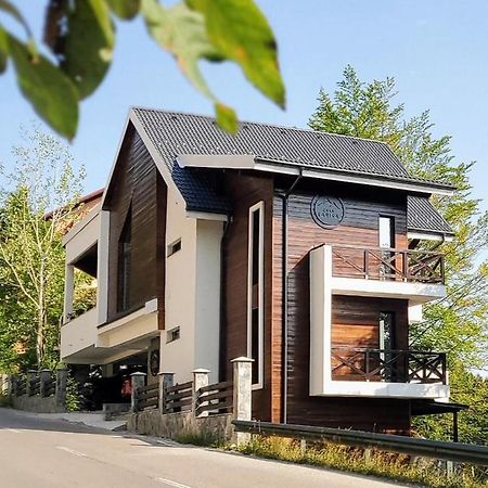 Casa Larisa Antonia Apartments Sinaia Bagian luar foto