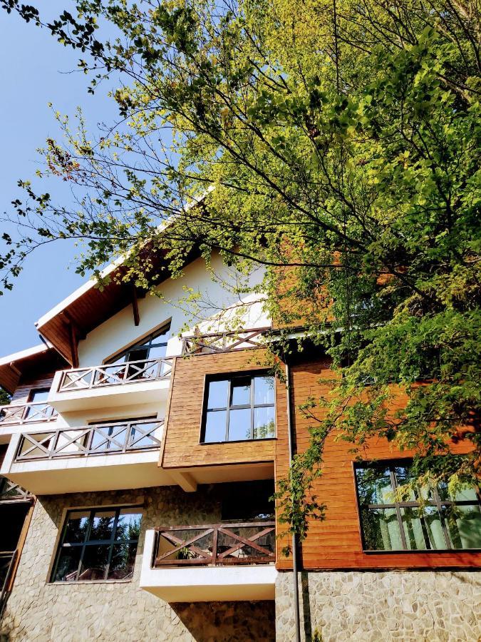 Casa Larisa Antonia Apartments Sinaia Bagian luar foto
