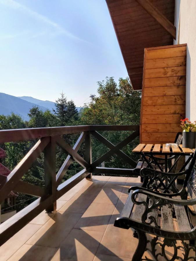 Casa Larisa Antonia Apartments Sinaia Bagian luar foto