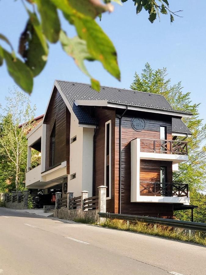 Casa Larisa Antonia Apartments Sinaia Bagian luar foto