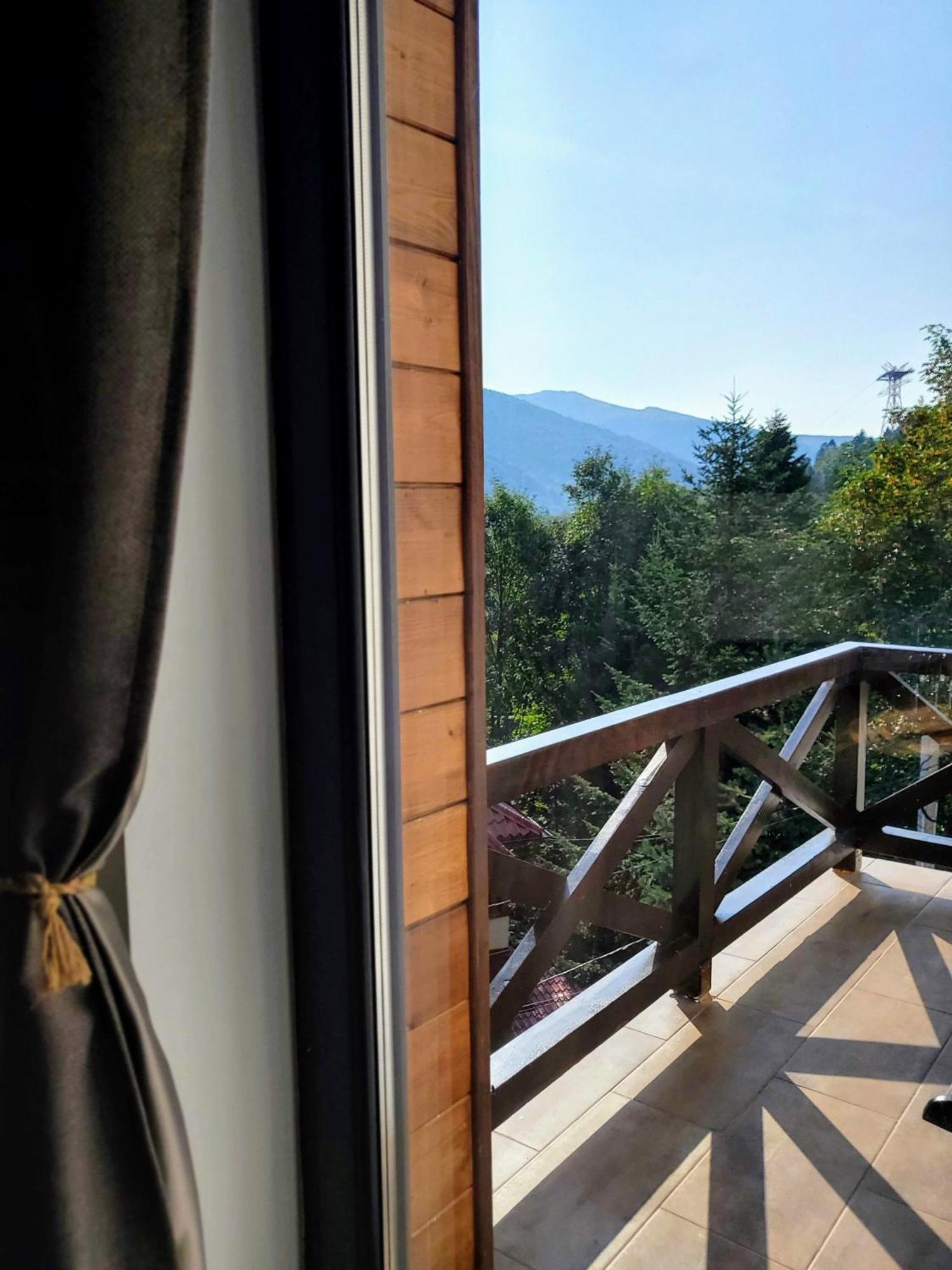 Casa Larisa Antonia Apartments Sinaia Bagian luar foto
