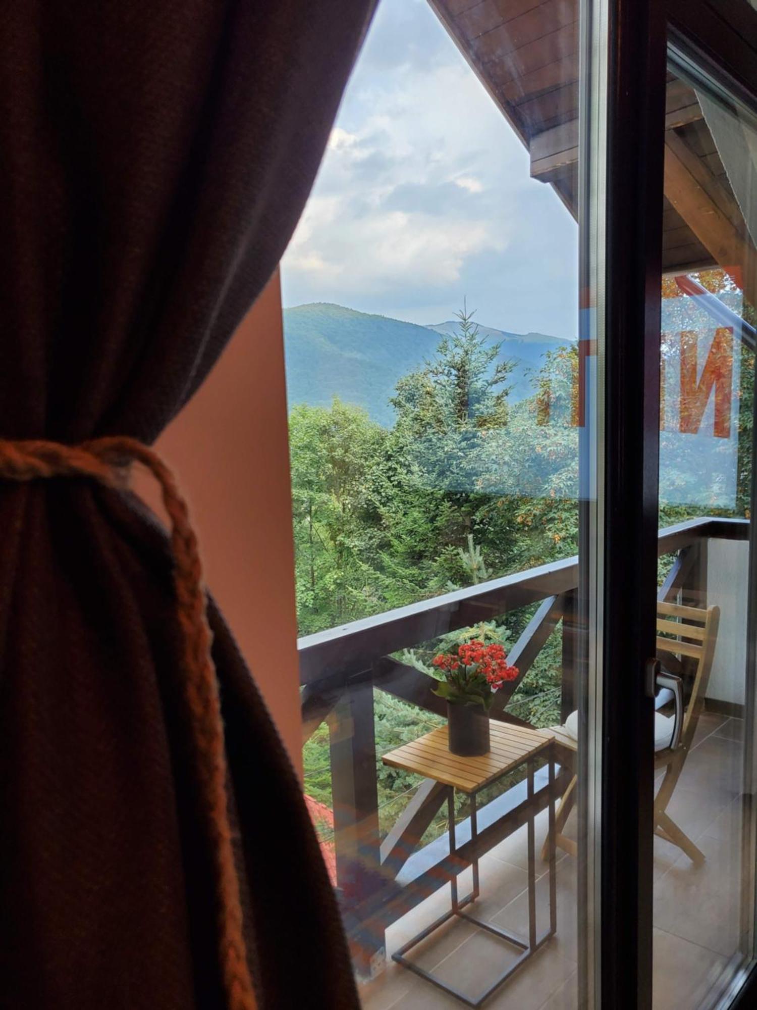 Casa Larisa Antonia Apartments Sinaia Bagian luar foto